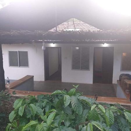 Durf Green Madikeri Exteriér fotografie