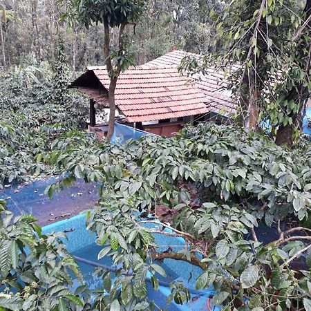 Durf Green Madikeri Exteriér fotografie